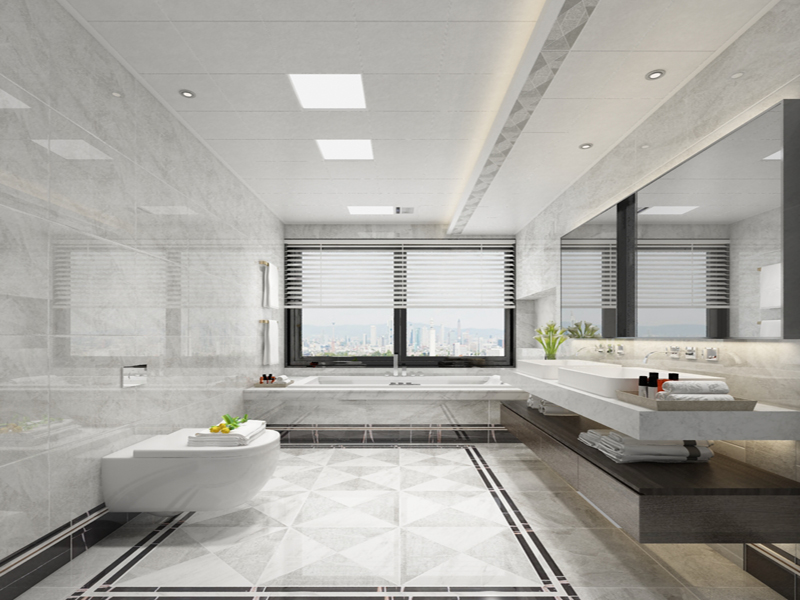 5卡米利亞衛(wèi)浴.jpg 5卡米利亞衛(wèi)浴.jpg